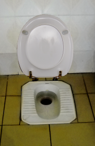 Den første generation af europæiske pedal-toiletter kan bruges såvel siddende som stående. 