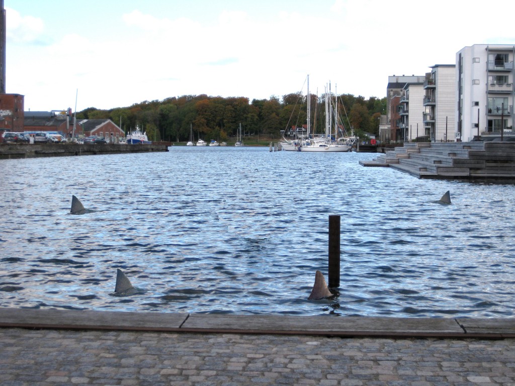 hajer i odense havn