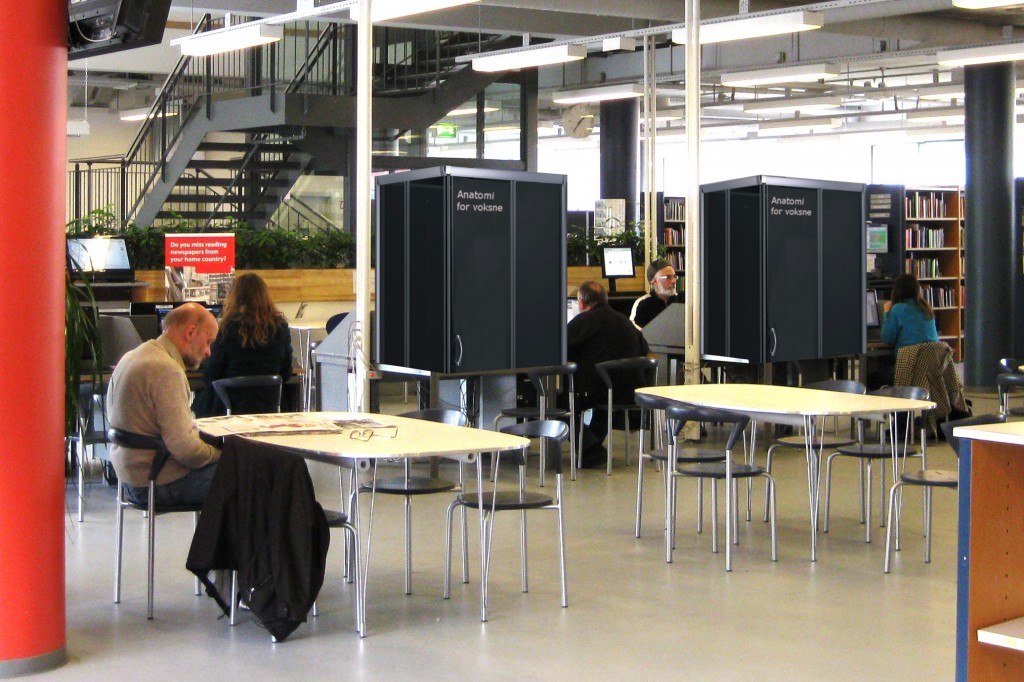 De to ”pornobokse” på Odense Centralbibliotek er anbragt midt mellem de øvrige computere. 
